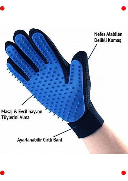 Evcil Hayvan Tüy Toplama ve Tarama Eldiveni - Kedi ve Köpek Için fırsatları