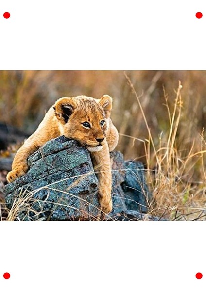 Sevimli Aslancık Yapbozu - 200 Parça fiyatları