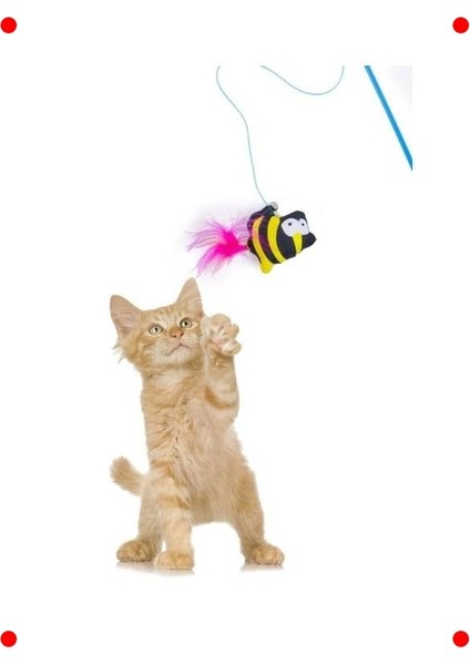 Sesli Peluş Hayvan Figürlü Kedi Oyun Oltası