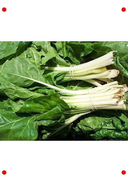 Doğal Pazı Tohumu - Sağlıklı ve Lezzetli