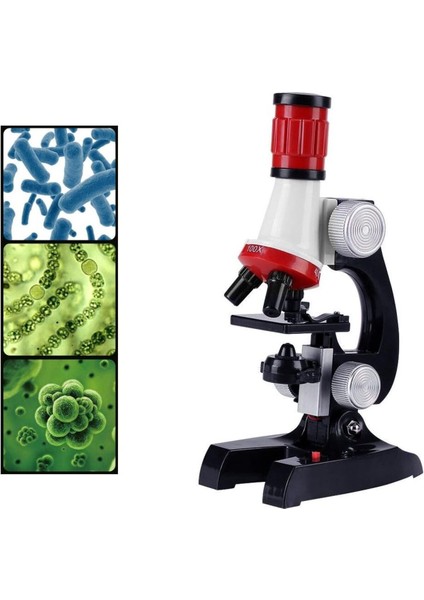 Eğitici Mikroskop Kiti Zoom 100X 400X 1200X LED Işıklı Öğretici Deney Seti fırsatları