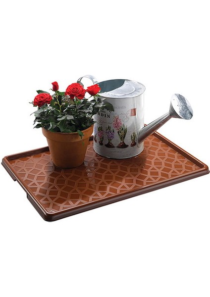 Multix Çok Amaçlı Ayakkabı Tepsisi - Asorti