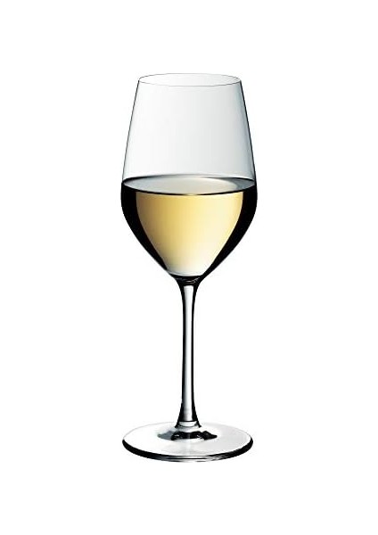 6&apos;lı Beyaz Şarap Kadehi modelleri