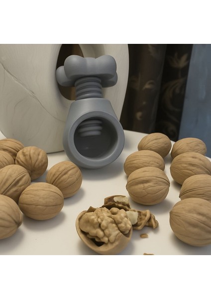 Ceviz ve Fındık Kıracağı