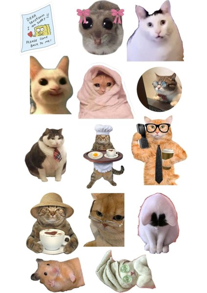 Kedi Telefon Laptop Notebook Tablet Defter Matara Stiker Etiket ST2117