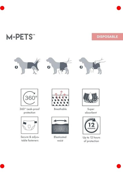 Dişi Köpek Külodu - Xs Beden - 10'lu Paket fırsatları