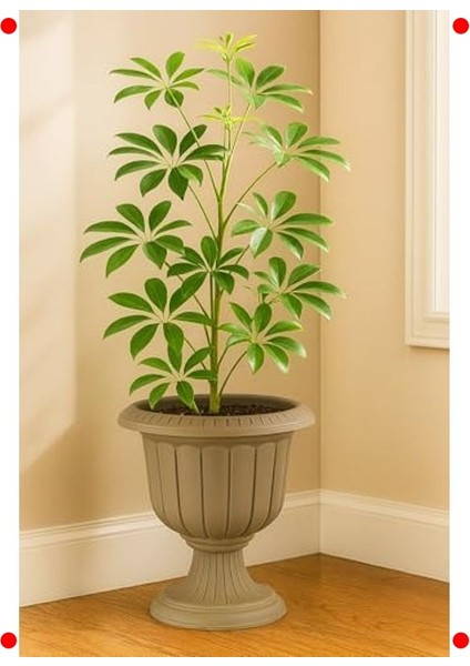 Ayaklı Nergis Saksı 6l 30CM - Kahverengi (Deliksiz)