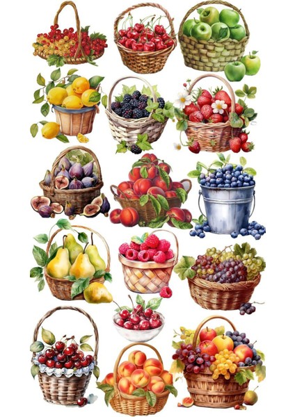 Sebze Meyve Telefon Laptop Notebook Tablet Defter Matara Stiker Etiket ST2186