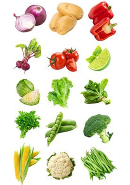 Sebze Meyve Telefon Laptop Notebook Tablet Defter Matara Stiker Etiket ST2265