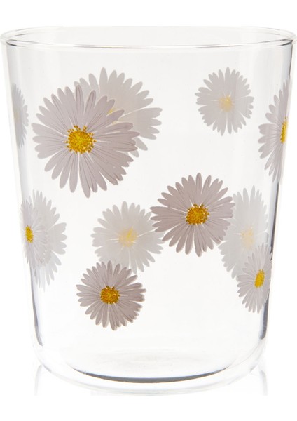 Fiona 4'lü Bardak Seti - Şeffaf - 315 ml modelleri