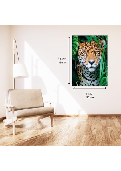 500 El. Compact Jaguar In The Jungle fiyatları