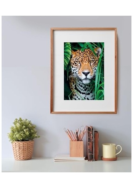 500 El. Compact Jaguar In The Jungle modelleri