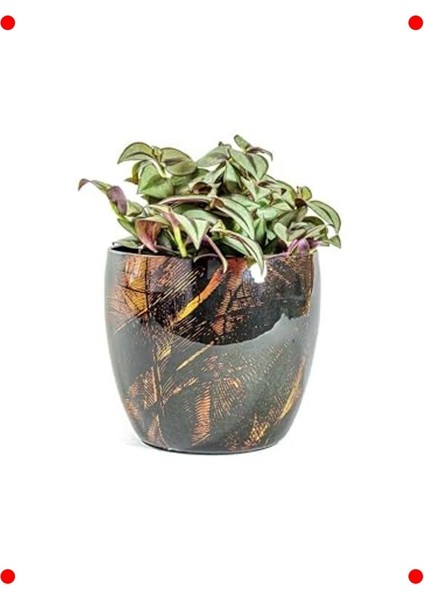 Modern Siyah Metal Saksı Orta Boy 17X15 cm fiyatları