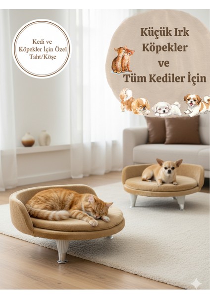 Küçük Irk Köpekler ve Tüm Kediler Için Yumuşak Konforlu Peluş Taht Yatak | Modern Şık Tasarım | Ev Dekoruna Uyumlu Rahat Dinlenme Köşesi | Dayanıklı Ayaklı Kedi ve Köpek Yatağı