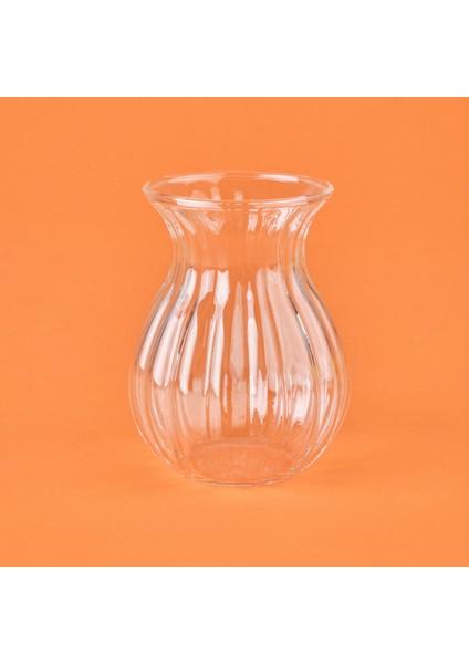 Borosilikat Cam Çizgili 6'lı Çay Bardağı - Şeffaf