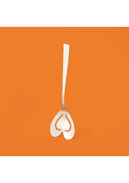 Can Canan 5 Parça Servis Takımı - Gri modelleri