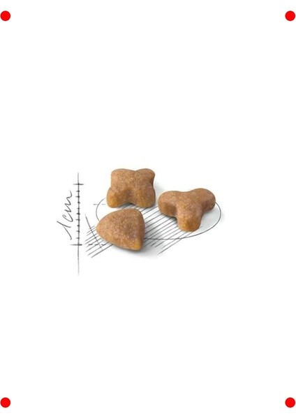 Hassas Sindirim Kedi Maması - Yetişkin (15 Kg) fiyatları