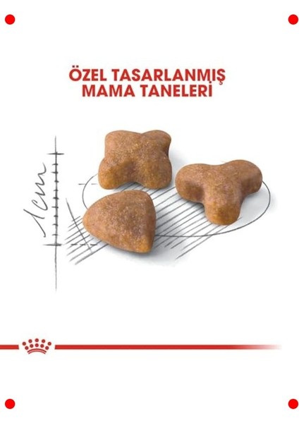 Hassas Sindirim Kedi Maması - Yetişkin (15 Kg) fırsatları