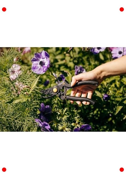 Bypass Budama Makası - 2.6cm Kesim Çapı fırsatları