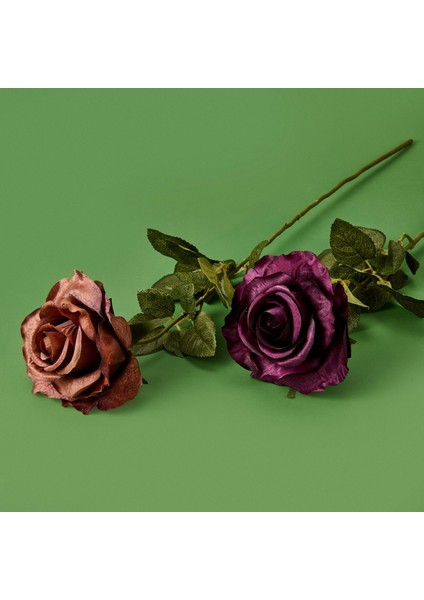 Time Pastel Dal Gül - Asorti - 70 cm modelleri