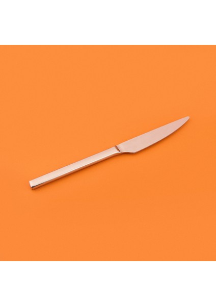 6'lı Pasta Bıçağı - Gri