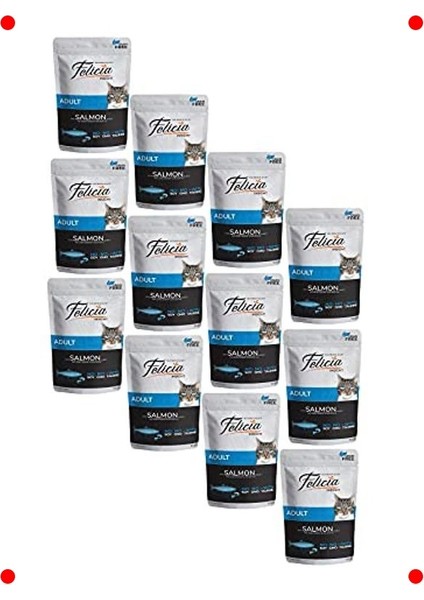 Tahılsız Somonlu Yetişkin Kedi Maması Pouch 12X85 gr