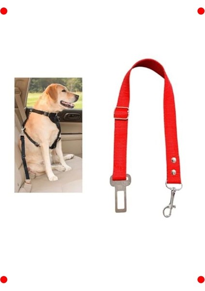 Evcil Hayvan Araç Emniyet Kemeri (Kırmızı)