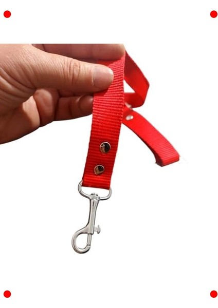 Evcil Hayvan Araç Emniyet Kemeri (Kırmızı) modelleri