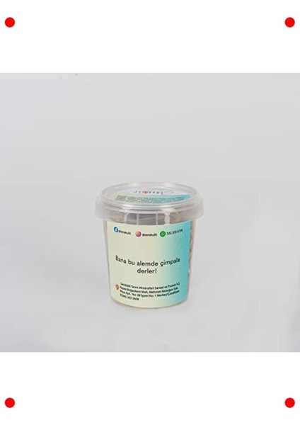 Bıyıklı Şık Çim Adam Dekoratif Bitki fiyatları