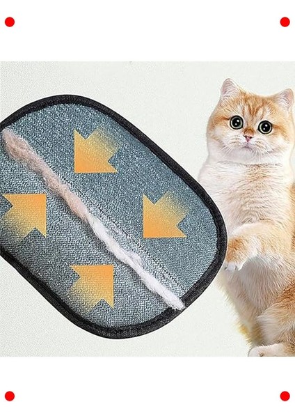 Evcil Hayvan Tüy Toplama Eldiveni Siyah