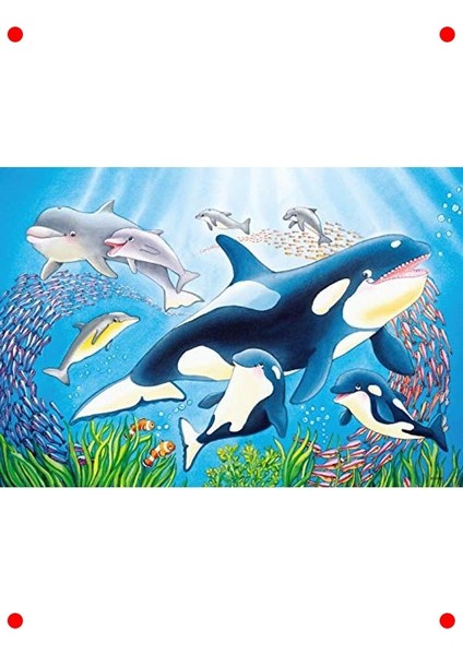 Sualtı Dünyası Yapbozu - 2X24 Parça Çocuk Puzzle modelleri