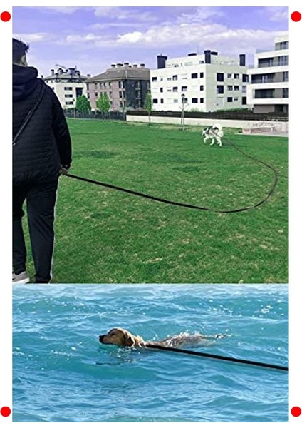 Güvenli 5 Metre Evcil Hayvan Gezdirme Tasması fırsatları