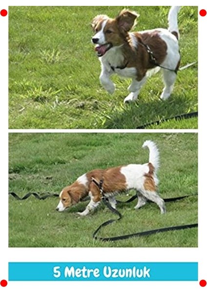 Güvenli 5 Metre Evcil Hayvan Gezdirme Tasması indirimleri