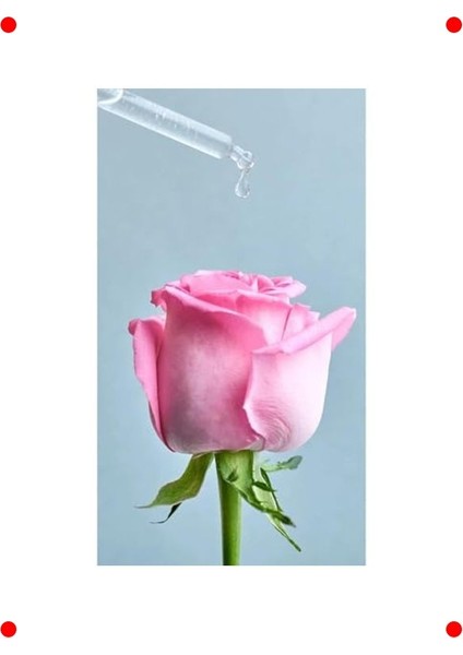 Organik Gül Suyu Içeren Nemlendirici Tonik 200 ml fırsatları