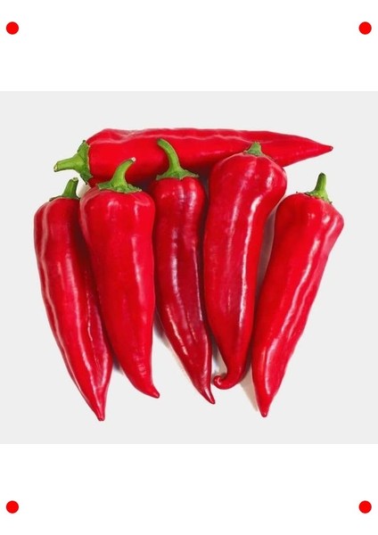 Maraş Biberi Tohumu - 5 gr - Geleneksel Lezzet