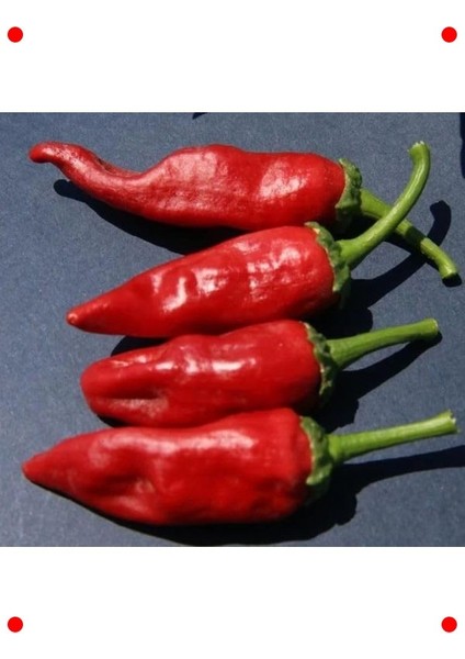 Maraş Biberi Tohumu - 5 gr - Geleneksel Lezzet fiyatları