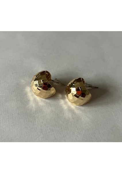 2li Kadın Gold Çelik Küpe