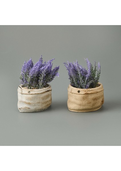 Çuval Saksıda Kır Lavantası - Asorti - 13X9X9 cm