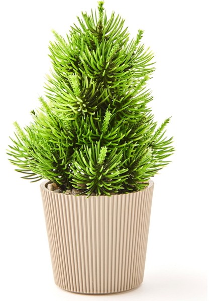 Dekor Saksılı Yapay Çam Ağacı - Renkli - 15X5 cm fiyatları