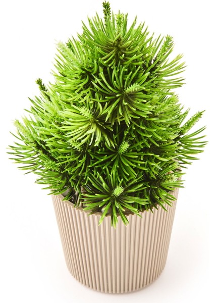 Dekor Saksılı Yapay Çam Ağacı - Renkli - 15X5 cm modelleri