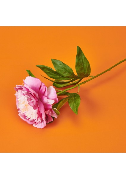 Şakayık Yapay Çiçek - Pembe - 70 cm modelleri