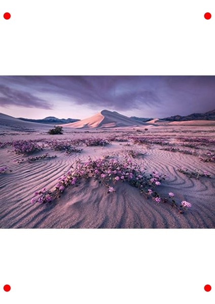 Ok Temalı Dinamik Gümüş Renk 1000 Parça Yapboz fiyatları