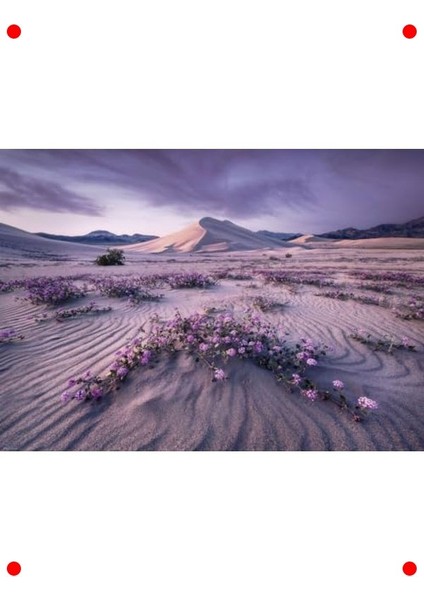 Ok Temalı Dinamik Gümüş Renk 1000 Parça Yapboz modelleri