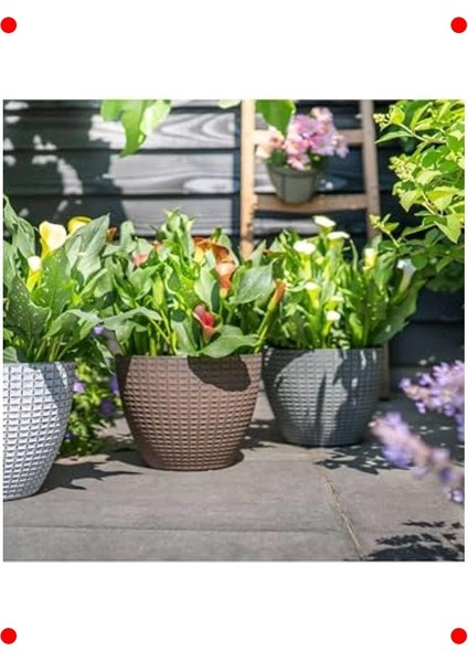 Desenli Gri Plastik Saksı - Çap 22CM Yükseklik 17CM fiyatları