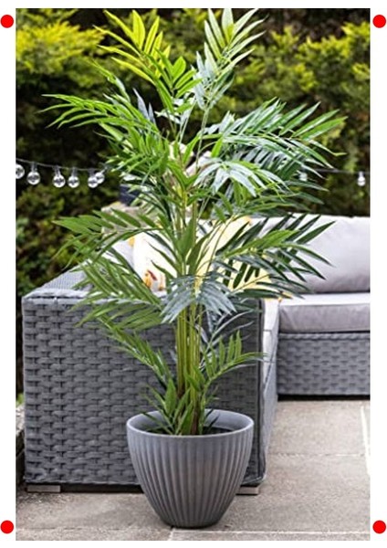 Lotus Desenli Antrasit Plastik Saksı indirimleri