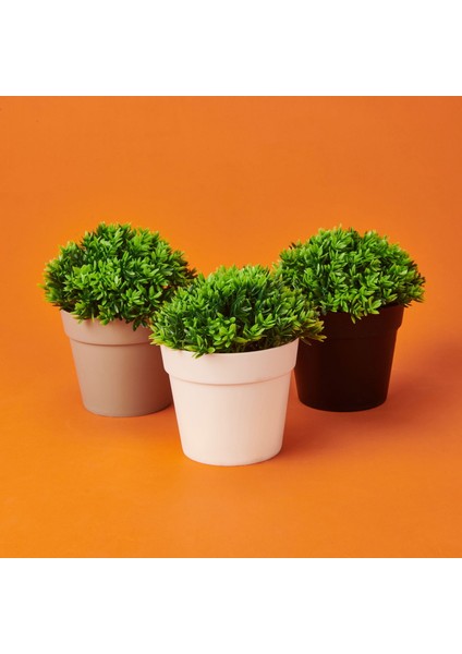 Dekor Saksıda Bitki - Asorti - 12X13 cm modelleri