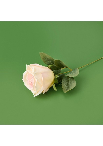 Time Dal Gül - Asorti - 30 cm fiyatları