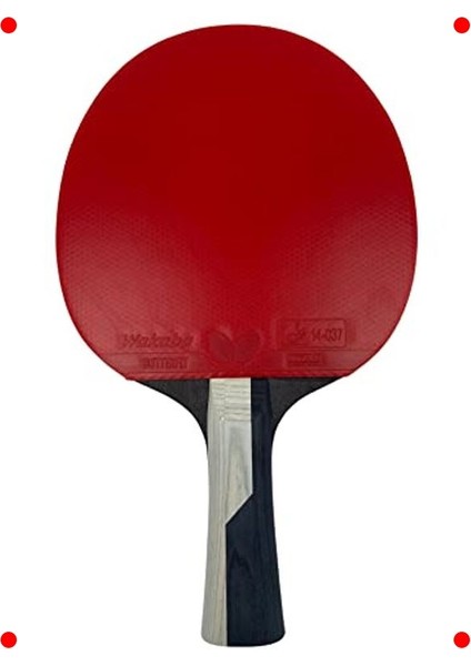 Profesyonel Masa Tenisi Raketi modelleri