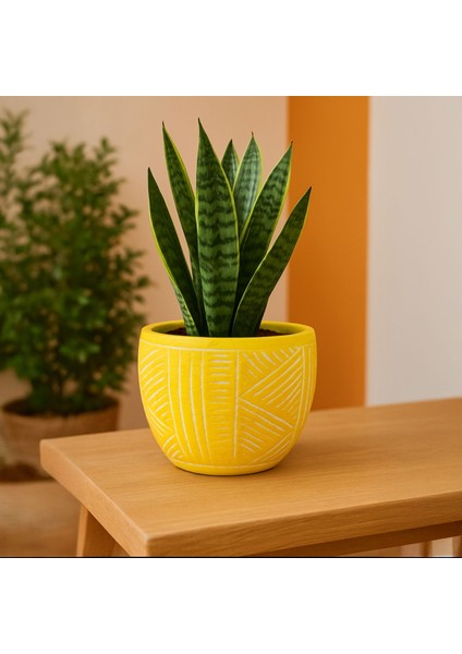 Duvar Desenli Beton Saksı - Sarı - 13,5X12,5 cm