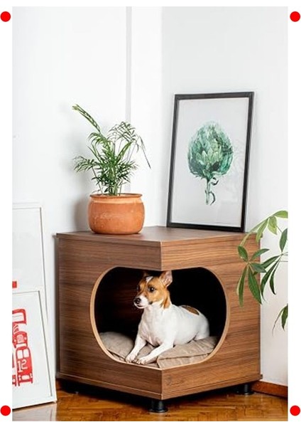 Üstü Kapalı Lüks Evcil Hayvan Yuvası - Kedi & Köpek modelleri